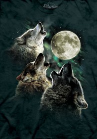 Reduziert - The Mountain T-Shirt - Three Wolf Moon, Größe M